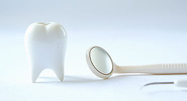 歯の健康を守る大切さを知ろう